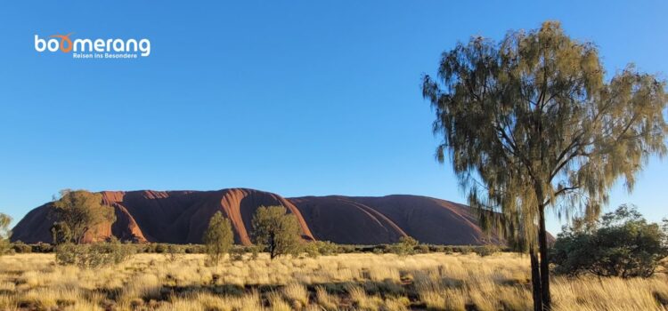 Boomerang Reisen – Der Spezialist für Australien, Neuseeland und besondere Fernreisen